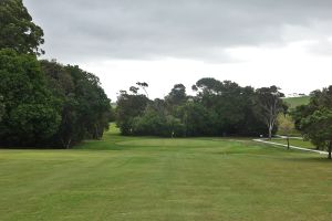 Waitangi 8th Approach